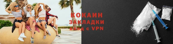 крисы Бронницы