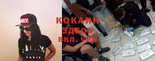хмурый Волоколамск