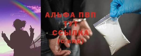 стаф Богданович