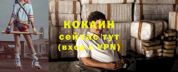 крисы Бронницы