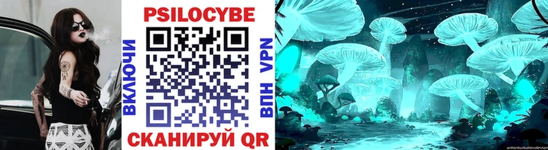 сколько стоит  Новоржев  Галлюциногенные грибы Magic Shrooms 